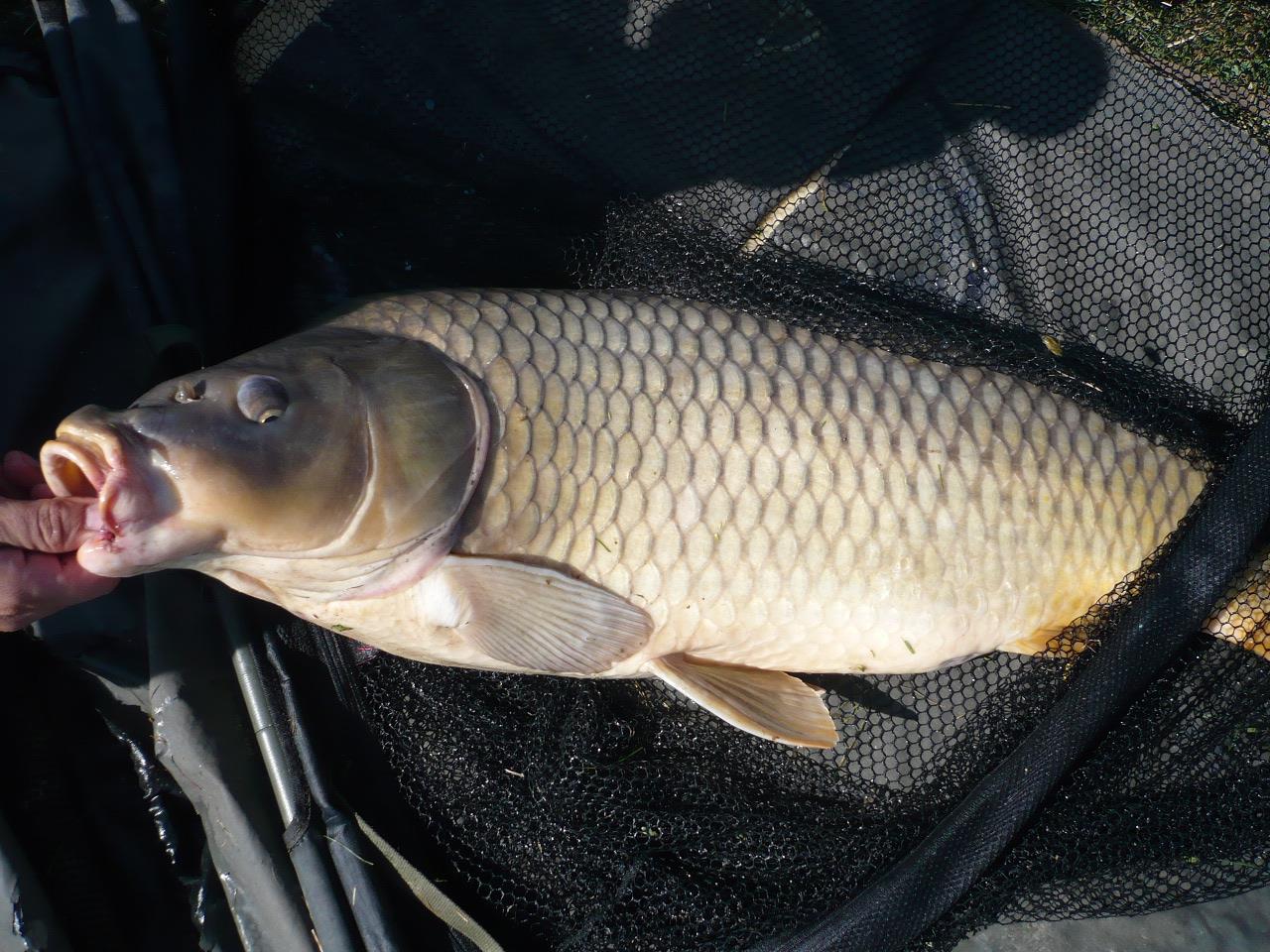 MV 2 - 19 SEPT 2014 - p1020839.JPG